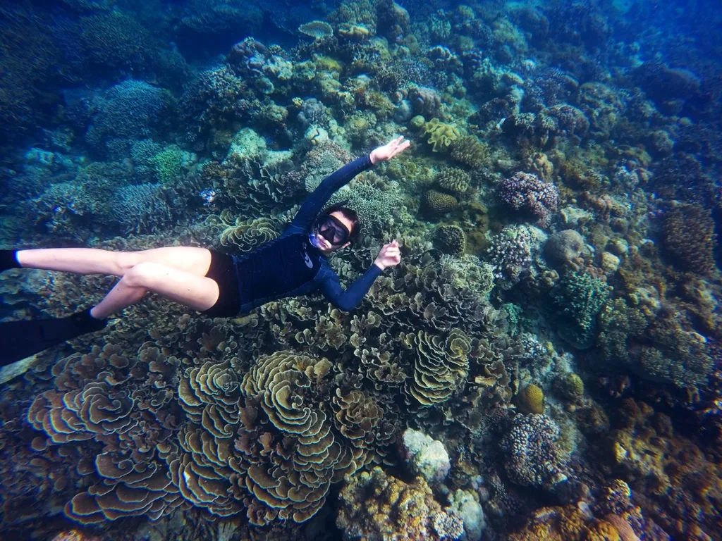 Excursions Snorkeling